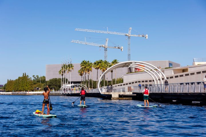 Three people paddleboarding on water near a modern building and cranes.