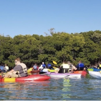 Group of kayakers paddling on water near lush greenery under clear blue sky.